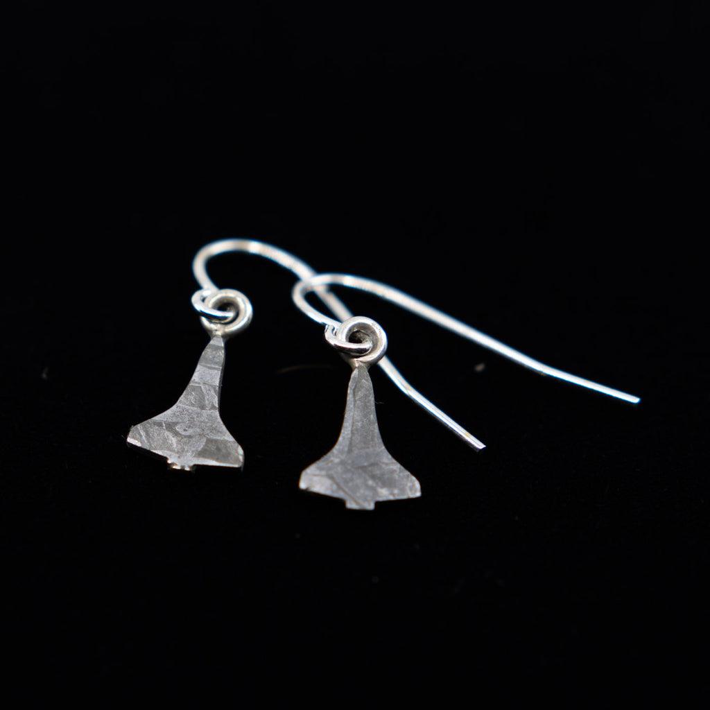 Space Shuttle meteorite earrings