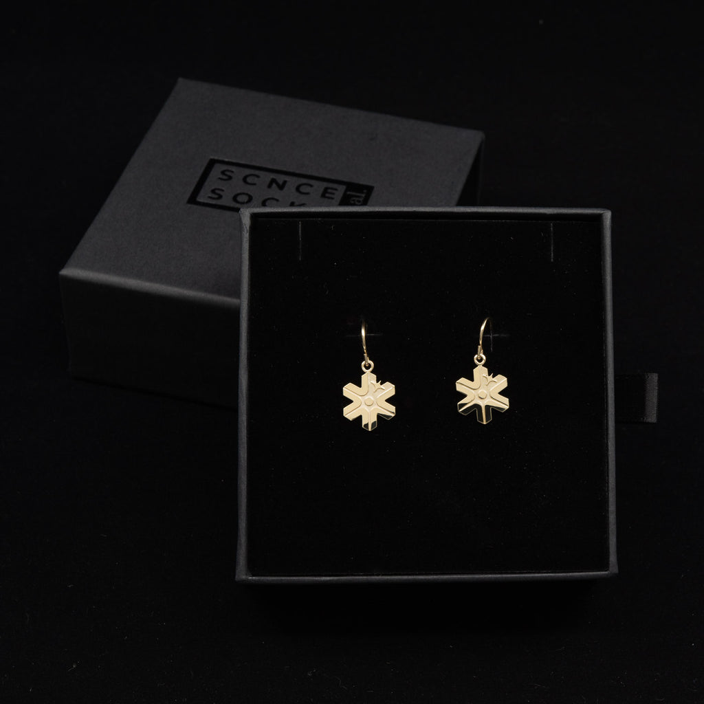 Europa Clipper Mission Identifier earrings - 14K Gold