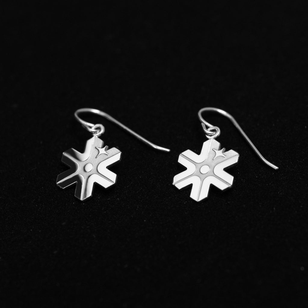 Europa Clipper Mission Identifier earrings - Sterling Silver