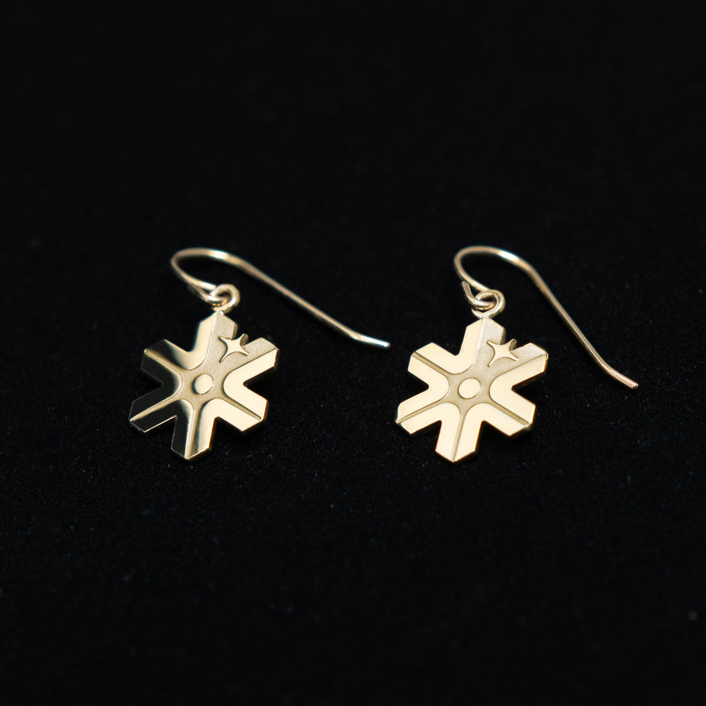 Europa Clipper Mission Identifier earrings - 14K Gold