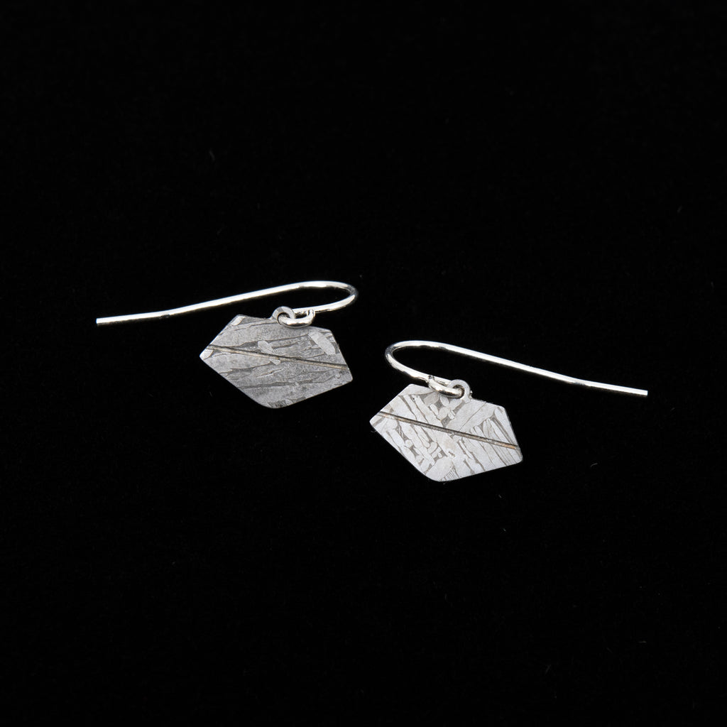 OSIRIS-REx capsule meteorite earrings
